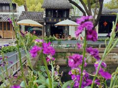 -惠山古镇·寄畅园