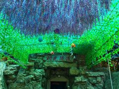-蓟州溶洞风景区