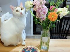 -勒甜LO CHO·私人订制低糖代糖纯动物奶油生日蛋糕(新开路店)