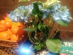 -四季餐厅·新津菜(环湖中路店)
