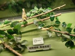 -天津自然博物馆