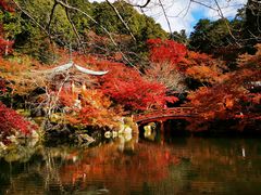 -醍醐寺