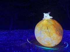 -青龙湖公园