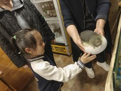 -天正河鲀·河豚亭(大连店)