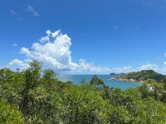 -广东惠东海龟国家级自然保护区