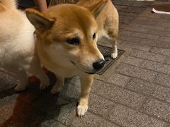 -The Drinkery (瑞金店)