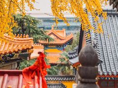 -宝通禅寺