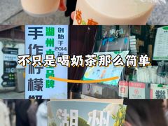 -猫的魔法密林(衣裳街店)