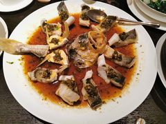 -甄御•海鲜新青岛菜(麦岛店)