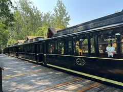 -合肥滨湖国家森林公园