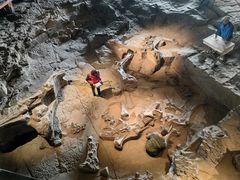 -自贡恐龙博物馆