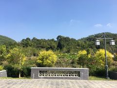 -林丰温泉度假山庄