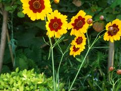 -福建鲤鱼洲酒店