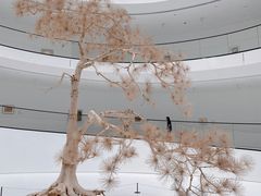 -上海宝龙美术馆