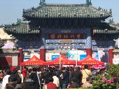 -曹州牡丹园