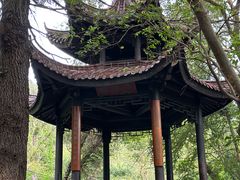 -敬亭山风景名胜区