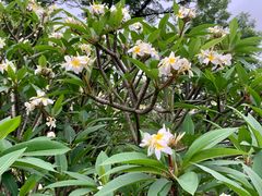 -华南国家植物园-售票处