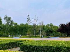 -北龙湖湿地公园