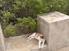 -府君山公园
