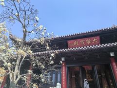 -灵谷景区
