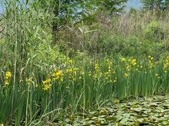 -东钱湖旅游度假区