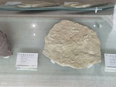 -延庆地质公园博物馆