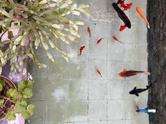 -燕北云山·农家菜·灶台鱼(密云溪翁庄店)