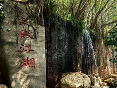 -雁南飞茶田景区