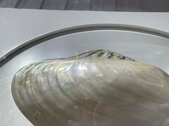 -贝壳王国博物馆