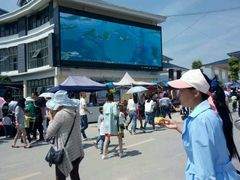 -鱼乐岛餐厅·户外花园主题餐厅