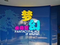-青岛海底世界-水族馆