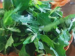 野菜-杨记山珍鸡煲菌汤锅