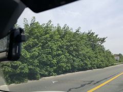 -汉景帝阳陵博物院