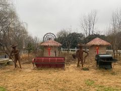 -溱湖国家湿地公园