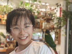 -吉丁鸟咖·异宠·寄养