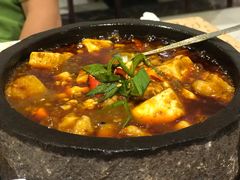 石锅豆腐鱼-大鸭梨烤鸭(左家庄店)