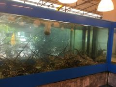-大螃蟹海鲜餐厅