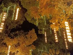 -横店影视城梦幻谷园区