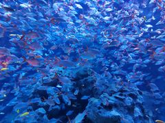 -成都浩海立方海洋公园