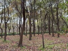 -嘉北郊野公园