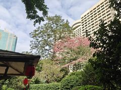 -广州花园酒店