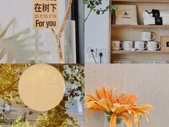 -常识咖啡common sense(春熙路店)