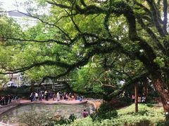 -香港大学
