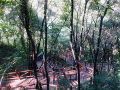 -大岭沟猕猴桃谷风景区