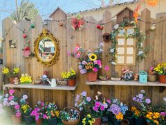 -HERRE·FARM 赫尔露营农场·团建聚会包场