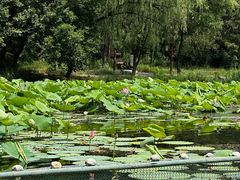 -承德避暑山庄景区