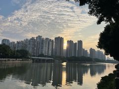 -光明港公园