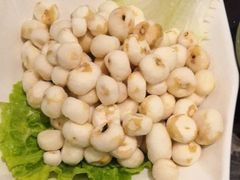 珍珠小马蹄-百年果林椰子鸡(中洲店)