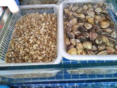 -江杨农产品批发市场