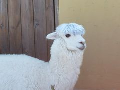 -珠海海泉湾神秘岛亲子乐园